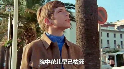 英俊少年在线观看,英俊少年在线观看,演绎青春热血传奇 第1张 英俊少年在线观看,英俊少年在线观看,演绎青春热血传奇 第1张