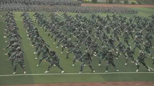 最新军训爆料新闻视频,揭秘严酷训练背后的青春故事 第1张 最新军训爆料新闻视频,揭秘严酷训练背后的青春故事 第1张