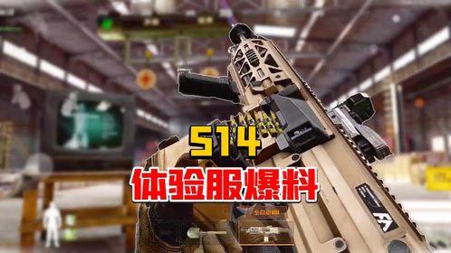 突围体验服最新爆料,揭秘神秘技能与战术革新