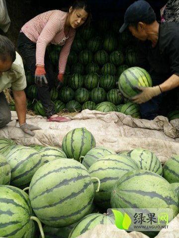 吃瓜最新事件网红久久,真相究竟如何？  第1张