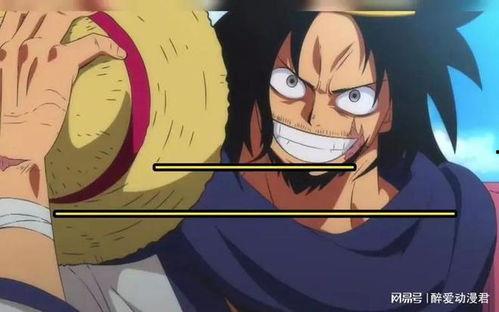 路飞五档爆料视频大全最新,揭秘海贼王巅峰力量与冒险新篇章  第3张